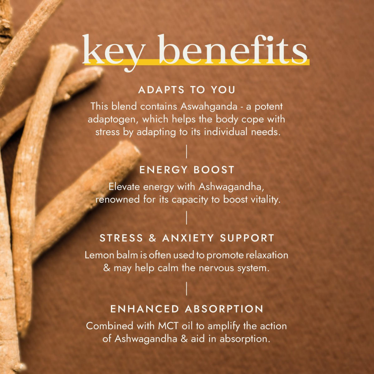 Ashwagandha Extract Vegan MCT High Strength 60 Capsule - Fushi Wellbeing - Herbal Supplements - Fushi Wellbeing