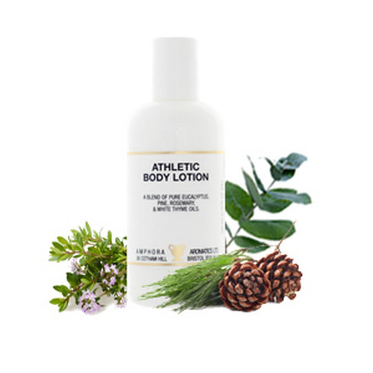 Athletic Body Lotion Paraben Free 100ml - Eco Natural Products - Amphora Aromatics - Body Lotion