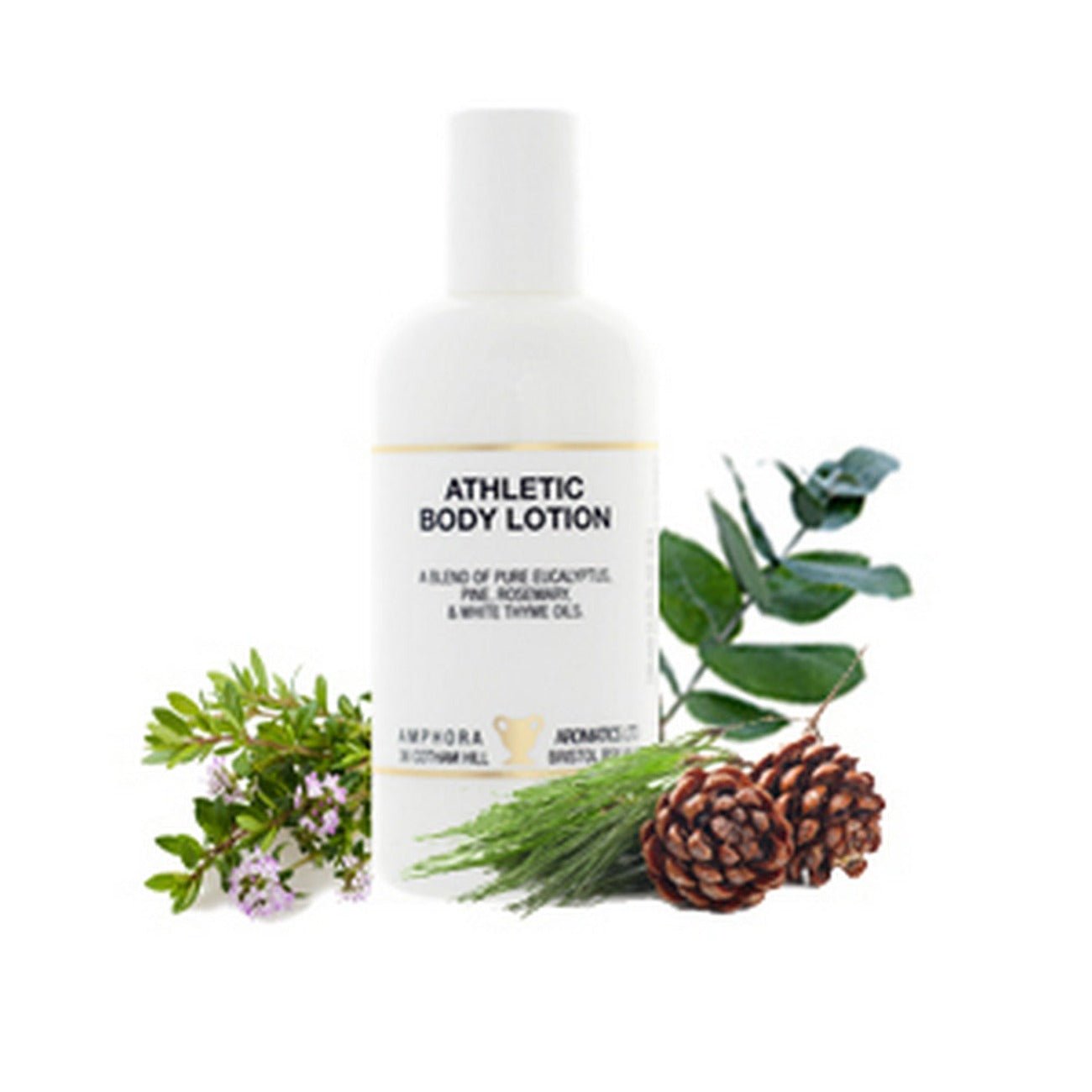 Athletic Body Lotion Paraben Free 100ml - Amphora Aromatics - Body Lotion - Eco Natural Products