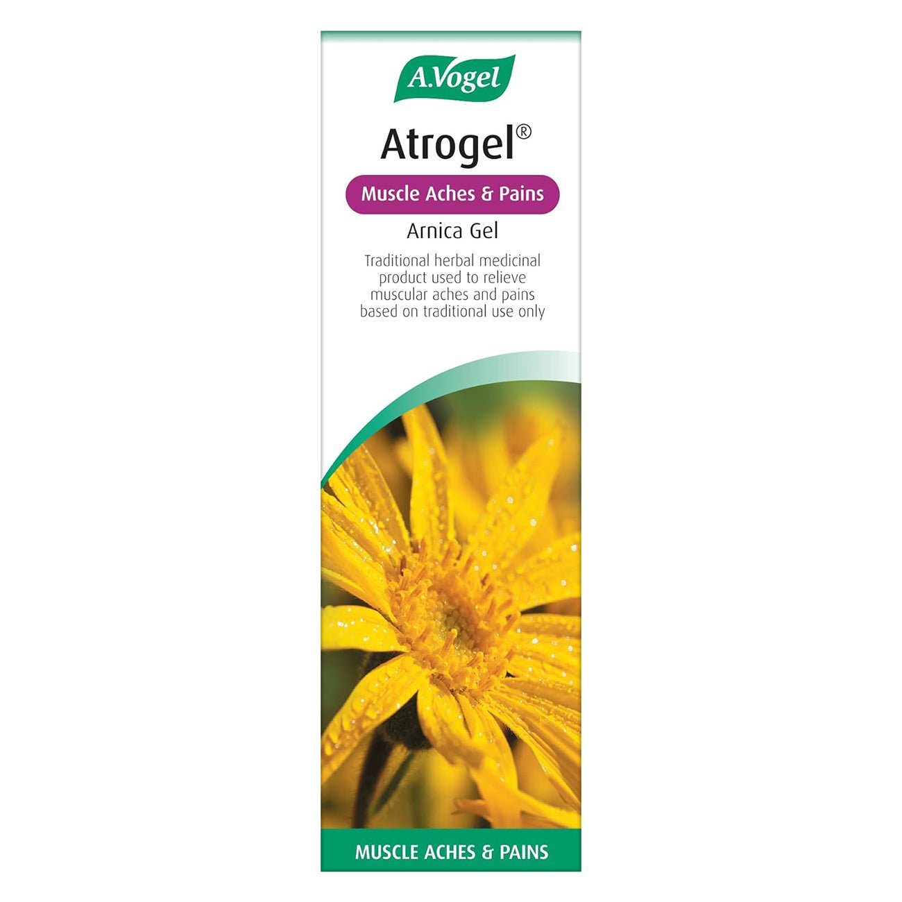 Atrogel Arnica Gel 100g - Eco Natural Products - A. Vogel - Cream