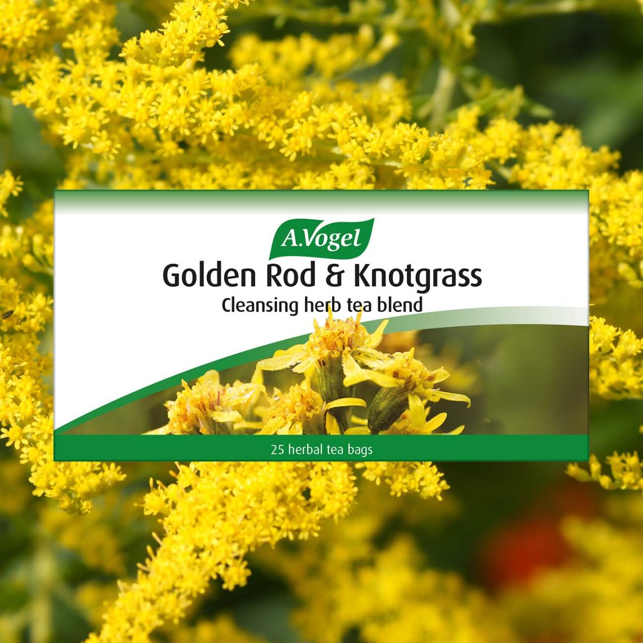A.Vogel Golden Rod & Knotgrass Cleansing Herb Tea 25x2g - A. Vogel - Tea - Eco Natural Products
