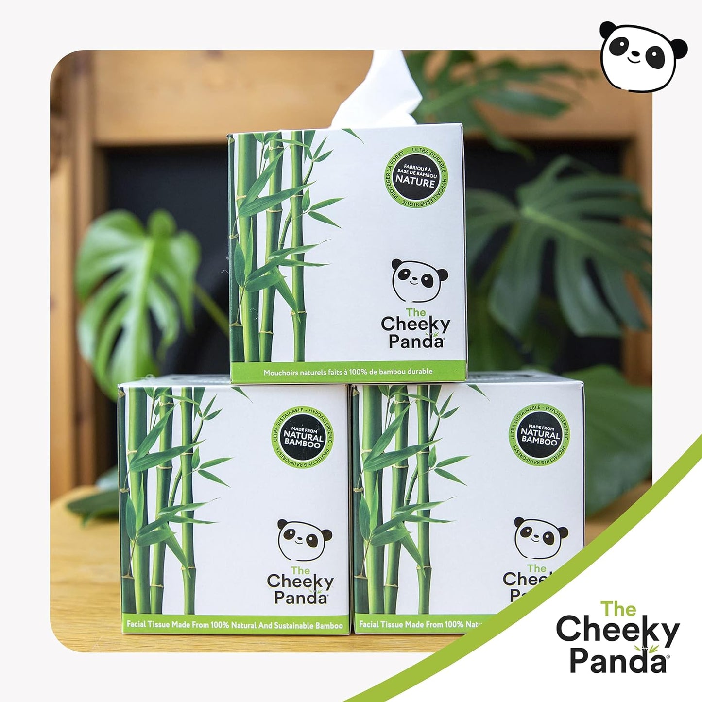 Bamboo Luxury Facial Tissue Cube 3PLY 56 Sheets - Cheeky Panda - Facial Tissues - Eco Natural Products