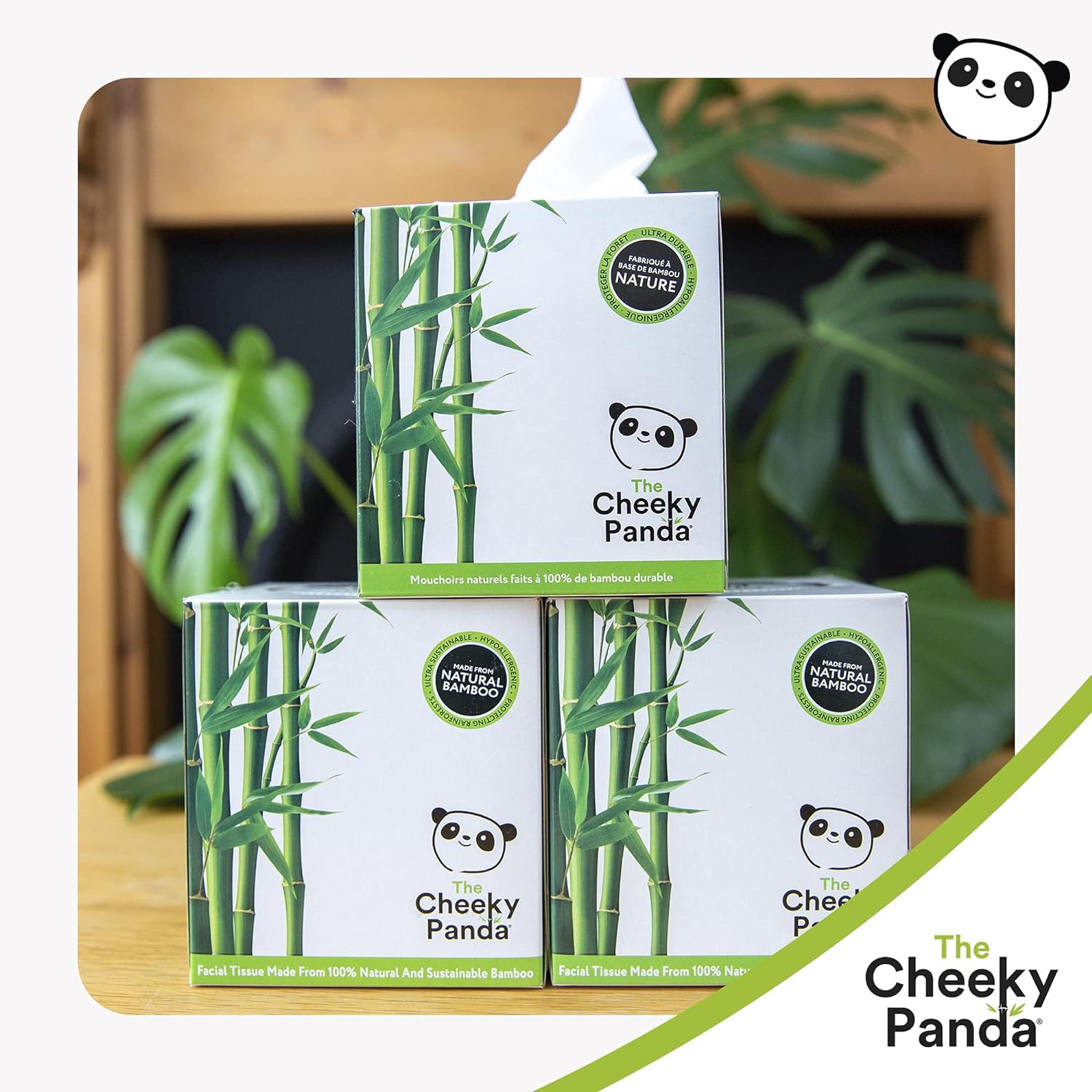 Bamboo Luxury Facial Tissue Cube 3PLY 56 Sheets - Cheeky Panda - Facial Tissues - Eco Natural Products