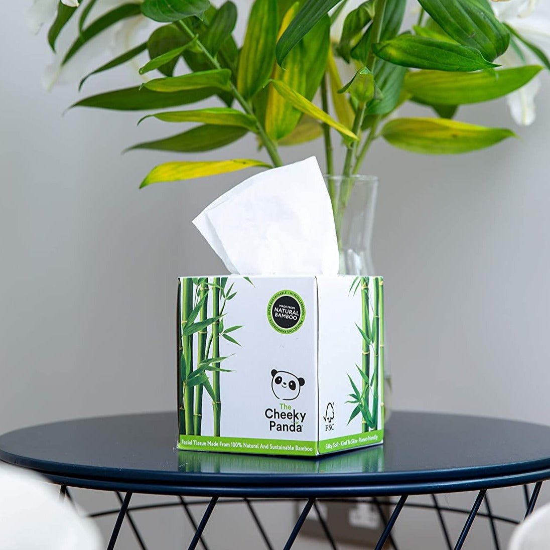 Bamboo Luxury Facial Tissue Cube 3PLY 56 Sheets - Eco Natural Products - Cheeky Panda - Facial Tissues