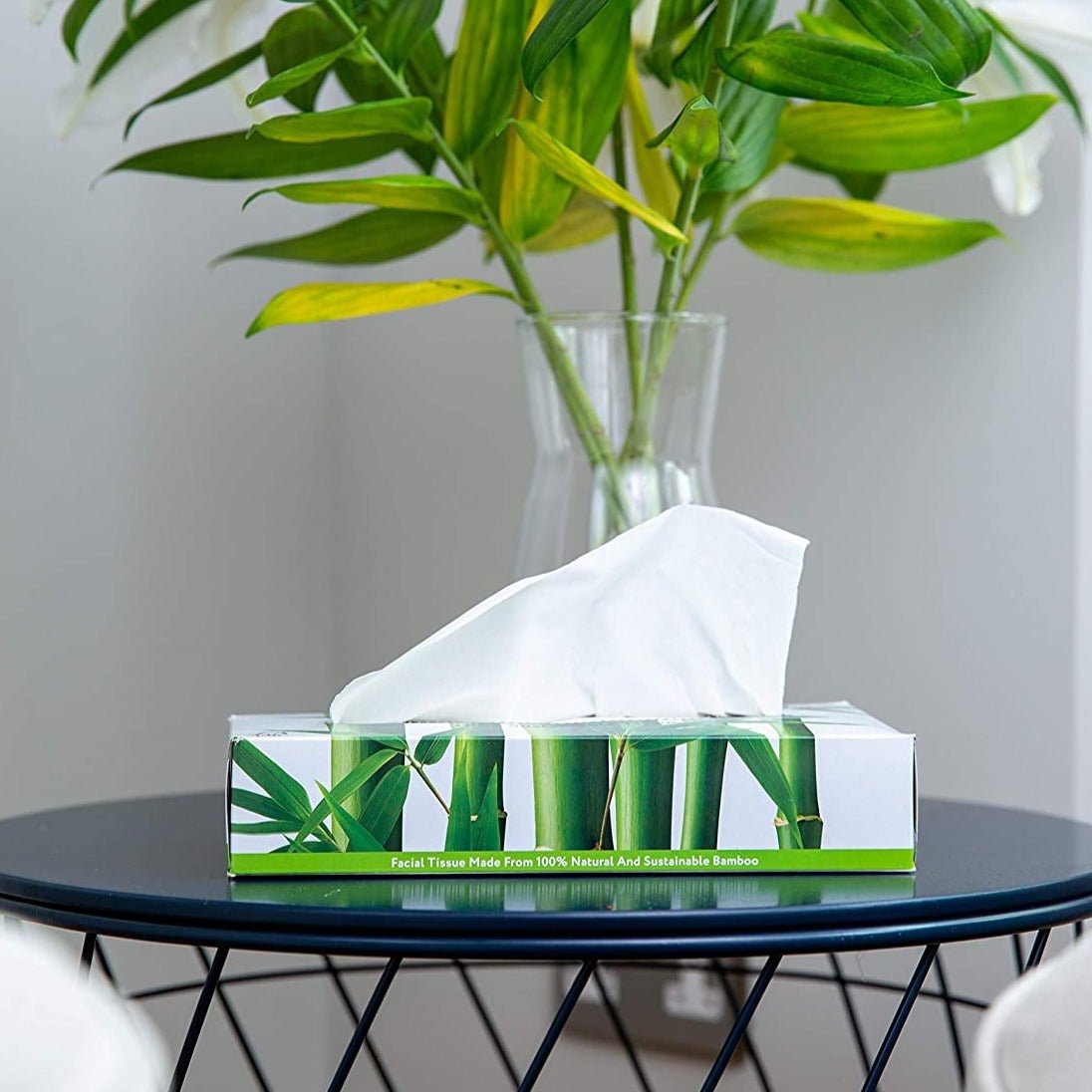 Bamboo Luxury Facial Tissue Flat Box 3PLY 80 Sheets - Cheeky Panda - Facial Tissues - Eco Natural Products