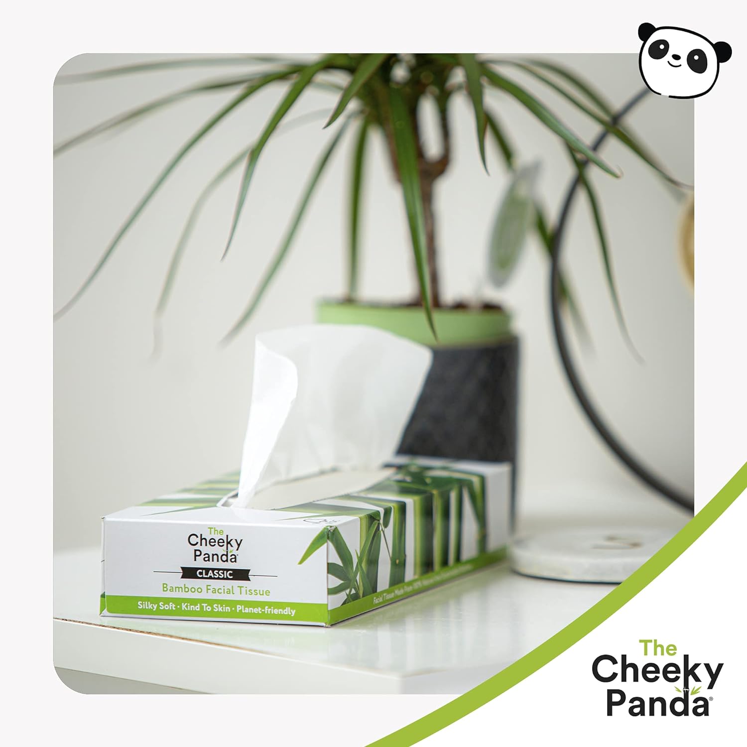 Bamboo Luxury Facial Tissue Flat Box 3PLY 80 Sheets - Eco Natural Products - Cheeky Panda - Facial Tissues