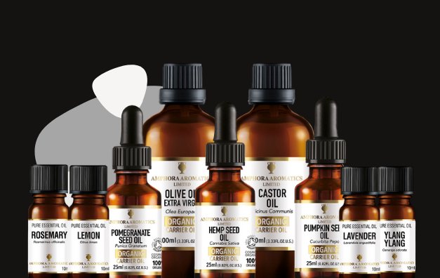 Bay Essential Oil 10ml - Amphora Aromatics - Essential Oil - Eco Natural Products