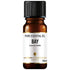 Bay Essential Oil 10ml - Eco Natural Products - Amphora Aromatics - Essential Oil