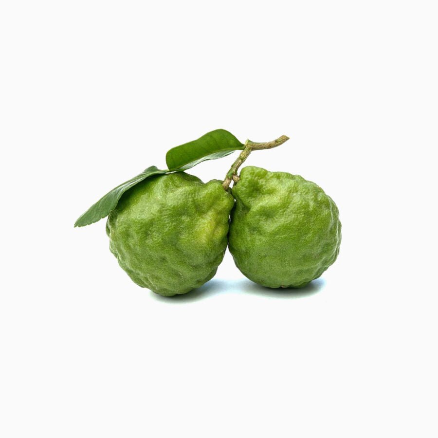 Bergamot Essential Oil 10ml - Aqua Oleum - Essential Oil - Eco Natural Products