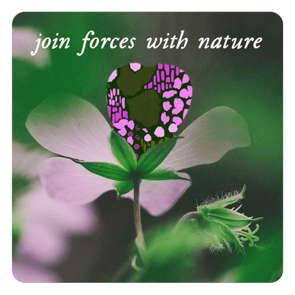 Bio - Live Women 475ml - Microbz - Food Supplement - Eco Natural Products