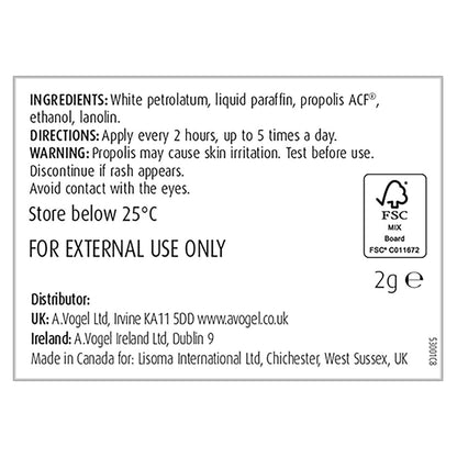 Bio - propolis Lip Care Ointment 2g - A. Vogel - Lip Care Ointment - Eco Natural Products