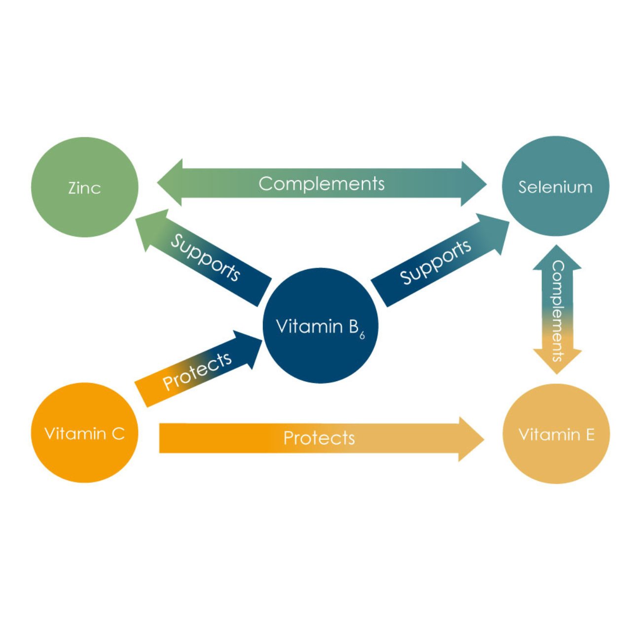 Bio - Selenium + Zinc 30 Tablets - Pharma Nord - Supplement - Eco Natural Products