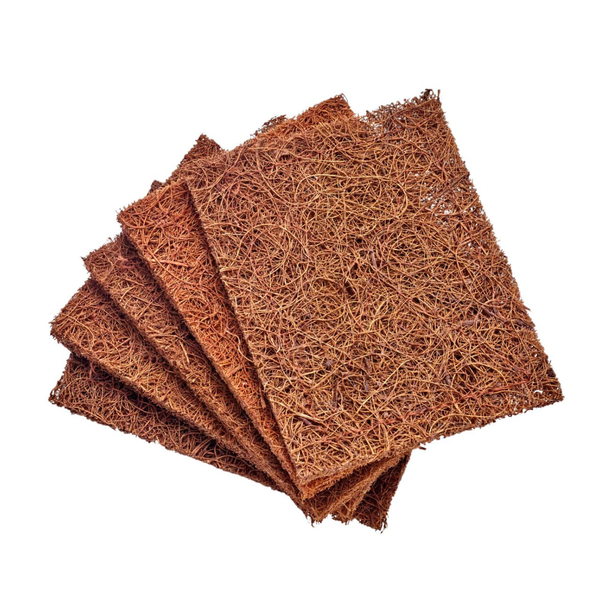 Biodegradable Coconut Kitchen Scourers Pack of 5 - Zero Waste Club - Scourers - Eco Natural Products