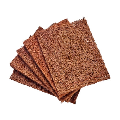 Biodegradable Coconut Kitchen Scourers Pack of 5 - Zero Waste Club - Scourers - Eco Natural Products
