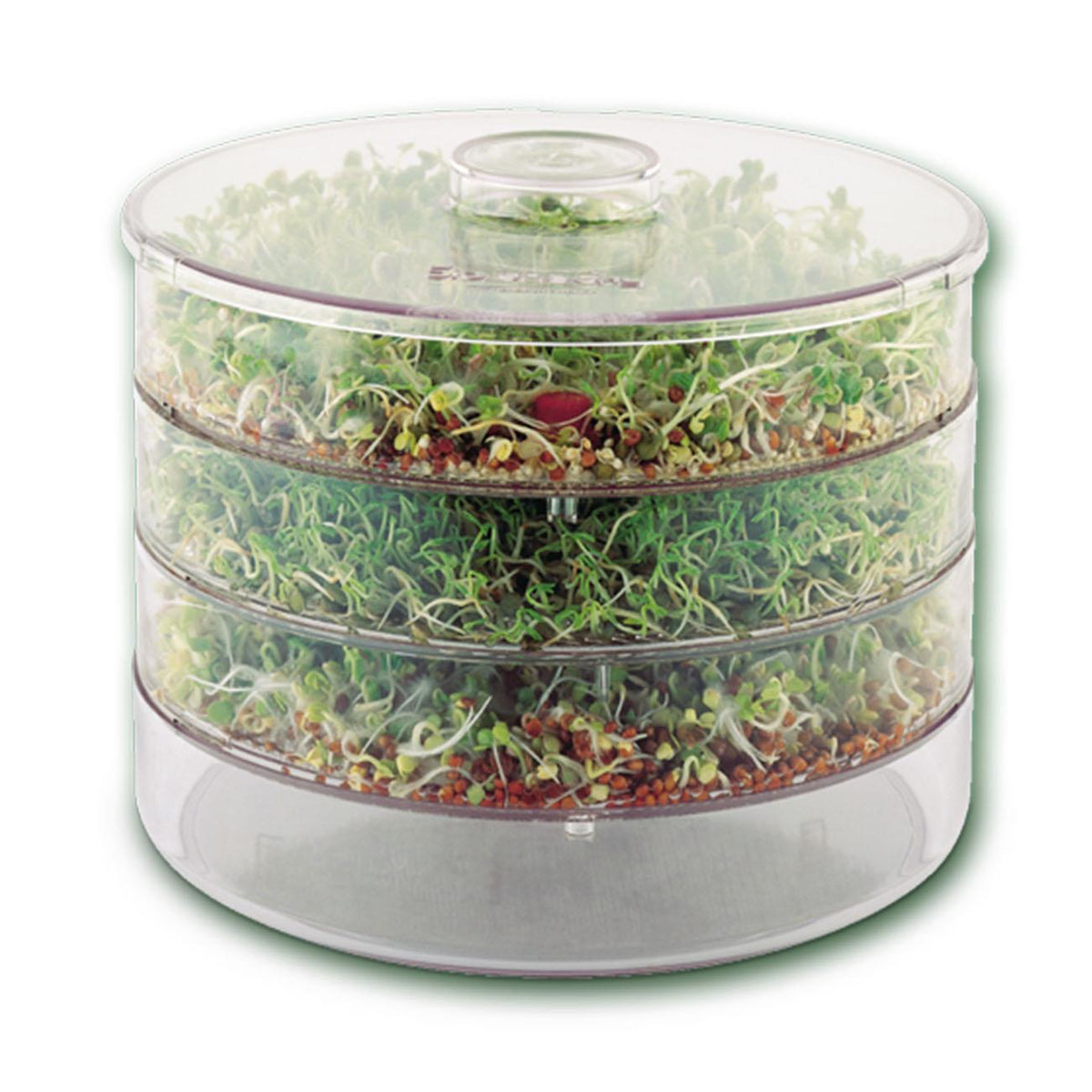 BioSnacky Germinator Large - A. Vogel - Germinator - A. Vogel