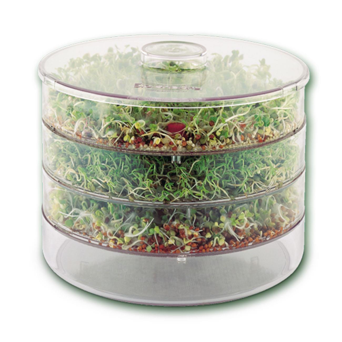 BioSnacky Germinator Large - A. Vogel - Germinator - A. Vogel
