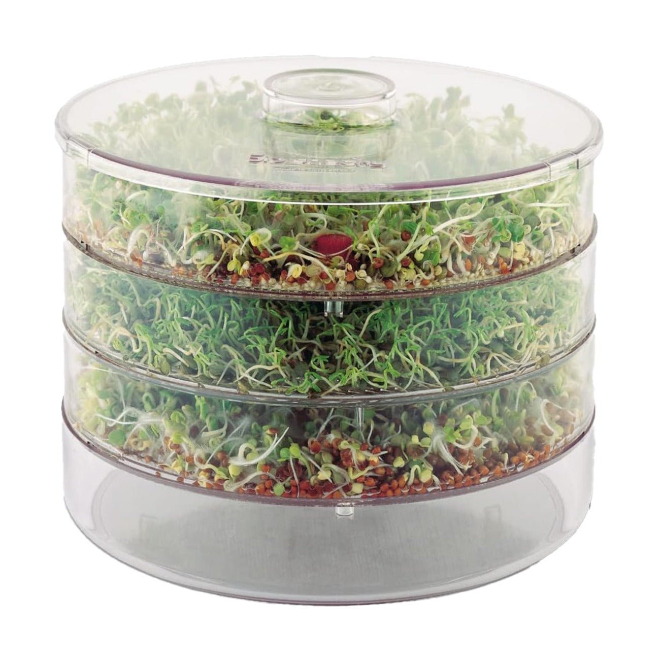 BioSnacky Germinator Large - A. Vogel - Germinator - Eco Natural Products