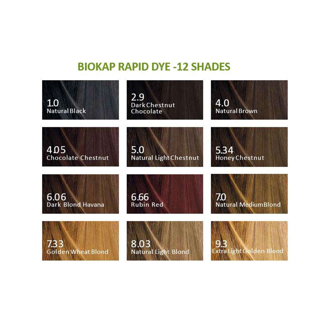 Black 1.0 Rapid Permanent Hair Dye 140ml - Eco Natural Products - BioKap - Hair Color