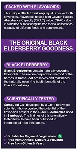 Black Elderberry Original Liquid 120ml - Eco Natural Products - Sambucol - Food Supplement