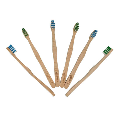 Black Forest Adult Toothbrush - Yaweco - Toothbrush - Eco Natural Products