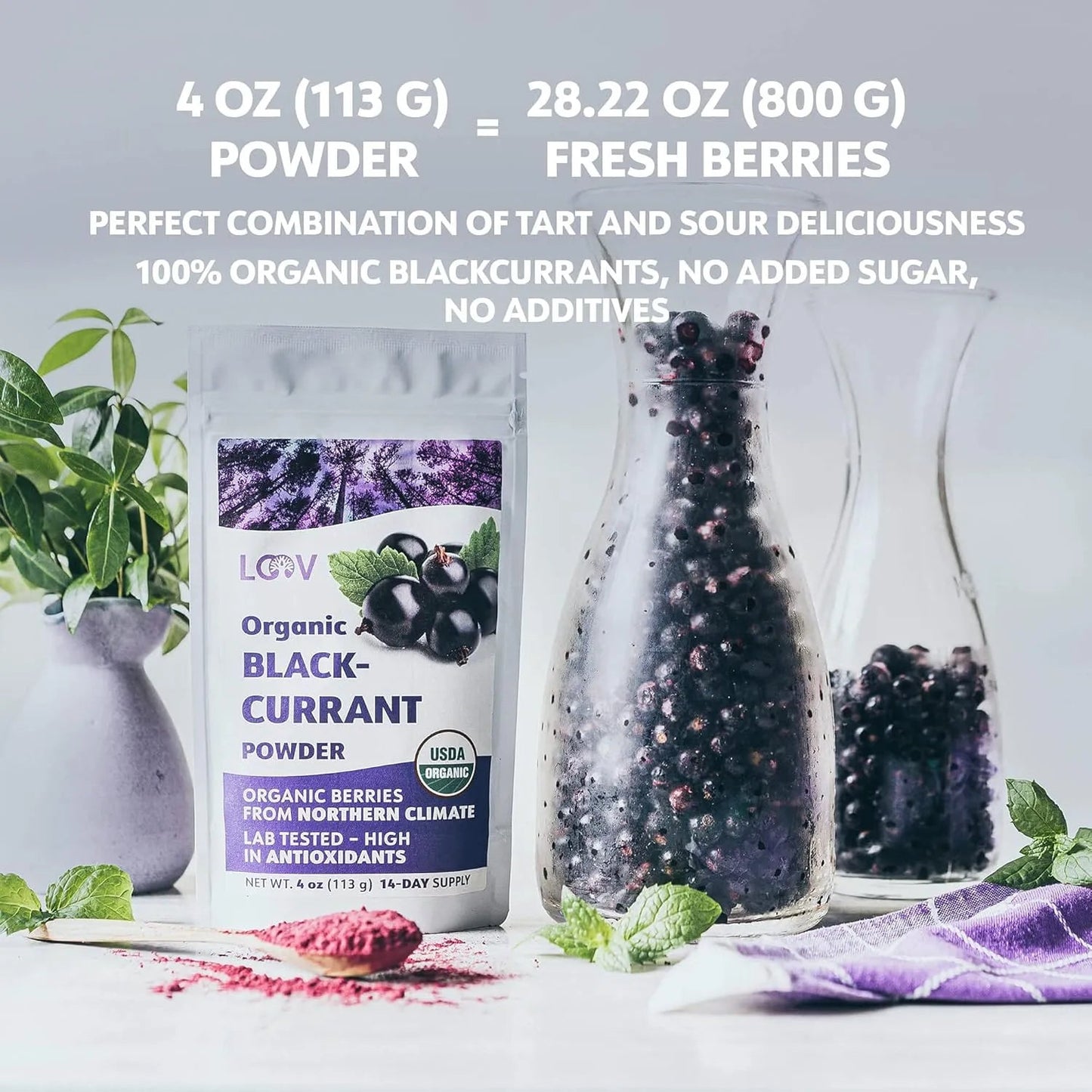 Blackcurrant Powder Freeze - Dried 113g - Loov - Dried Fruits - Loov