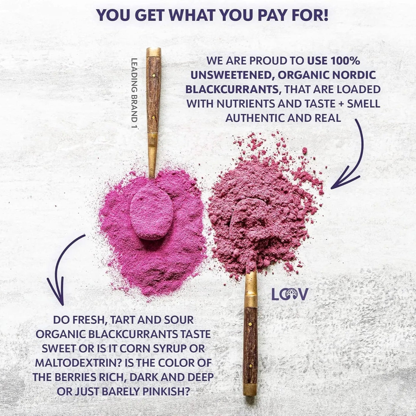 Blackcurrant Powder Freeze - Dried 113g - Loov - Dried Fruits - Loov