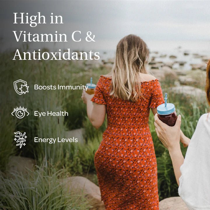 Blackcurrant Powder Freeze - Dried 113g - Loov - Dried Fruits - Loov