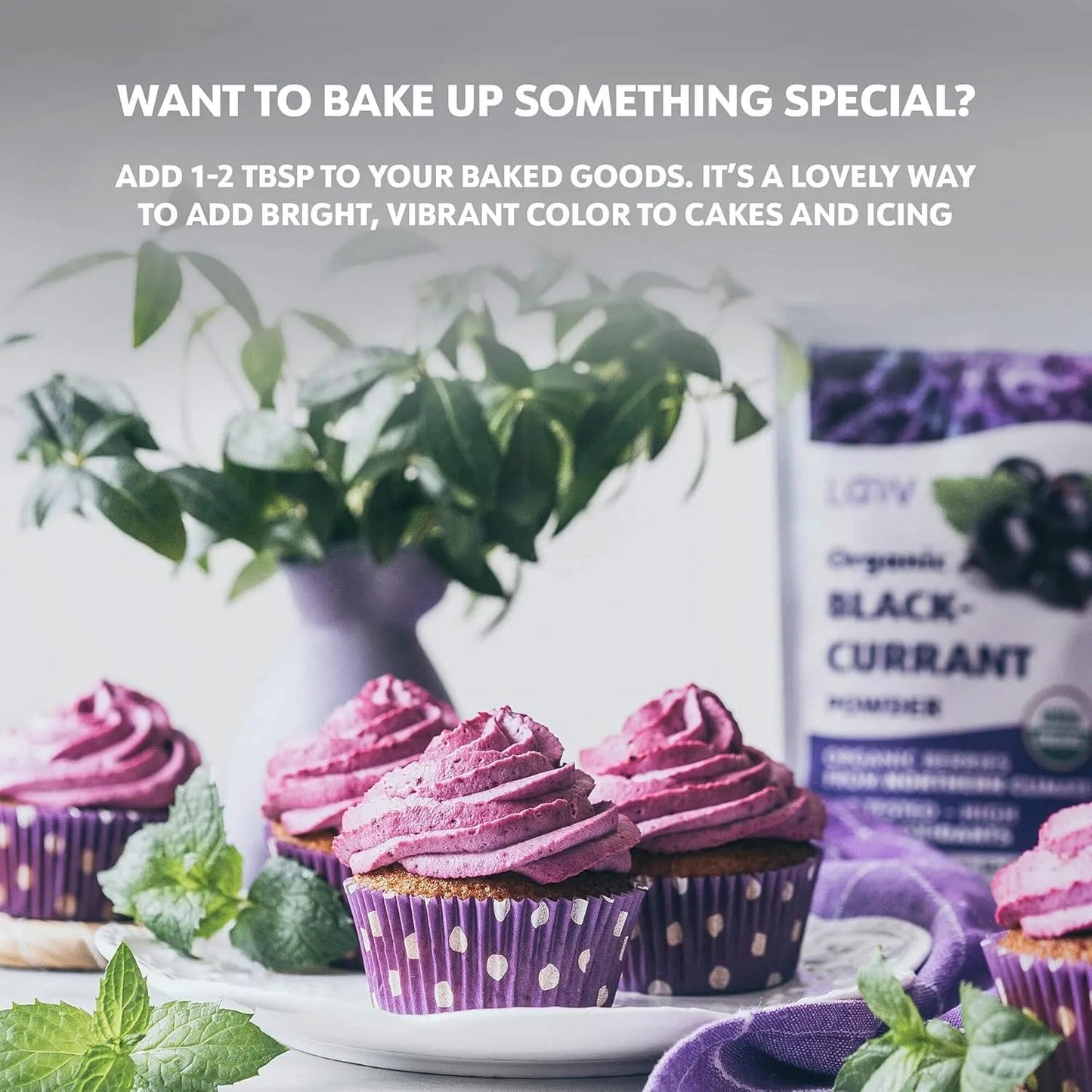 Blackcurrant Powder Freeze - Dried 113g - Loov - Dried Fruits - Loov