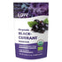 Blackcurrant Powder Freeze - Dried 90g - Eco Natural Products - Loov - Dried Fruits