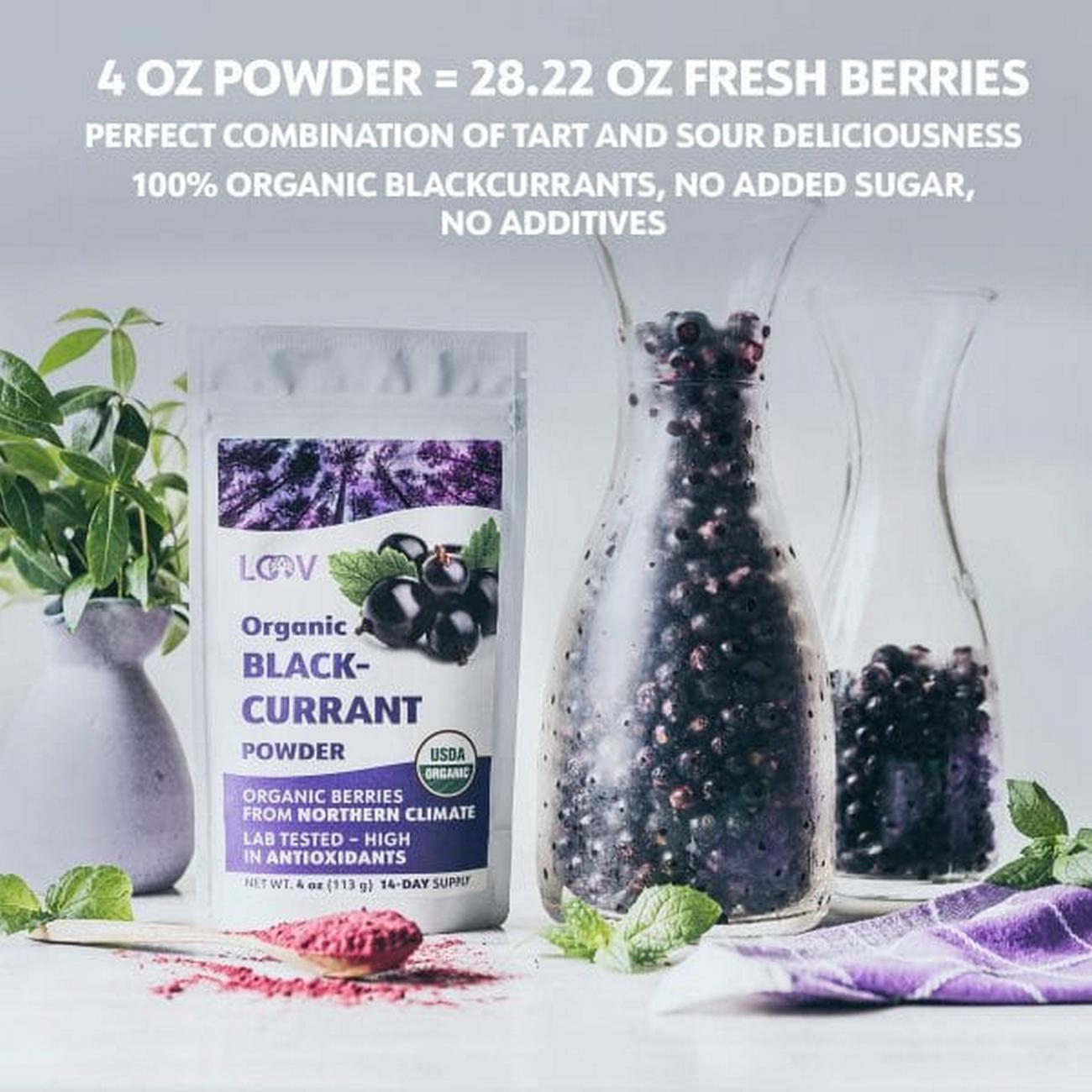 Blackcurrant Powder Freeze - Dried 90g - Eco Natural Products - Loov - Dried Fruits