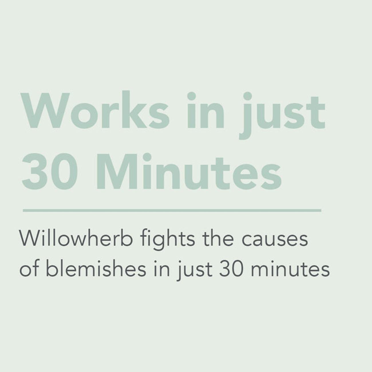 Blemish Control Spot Banishing Gel 15ml - Sukin - Banishing Gel - Eco Natural Products