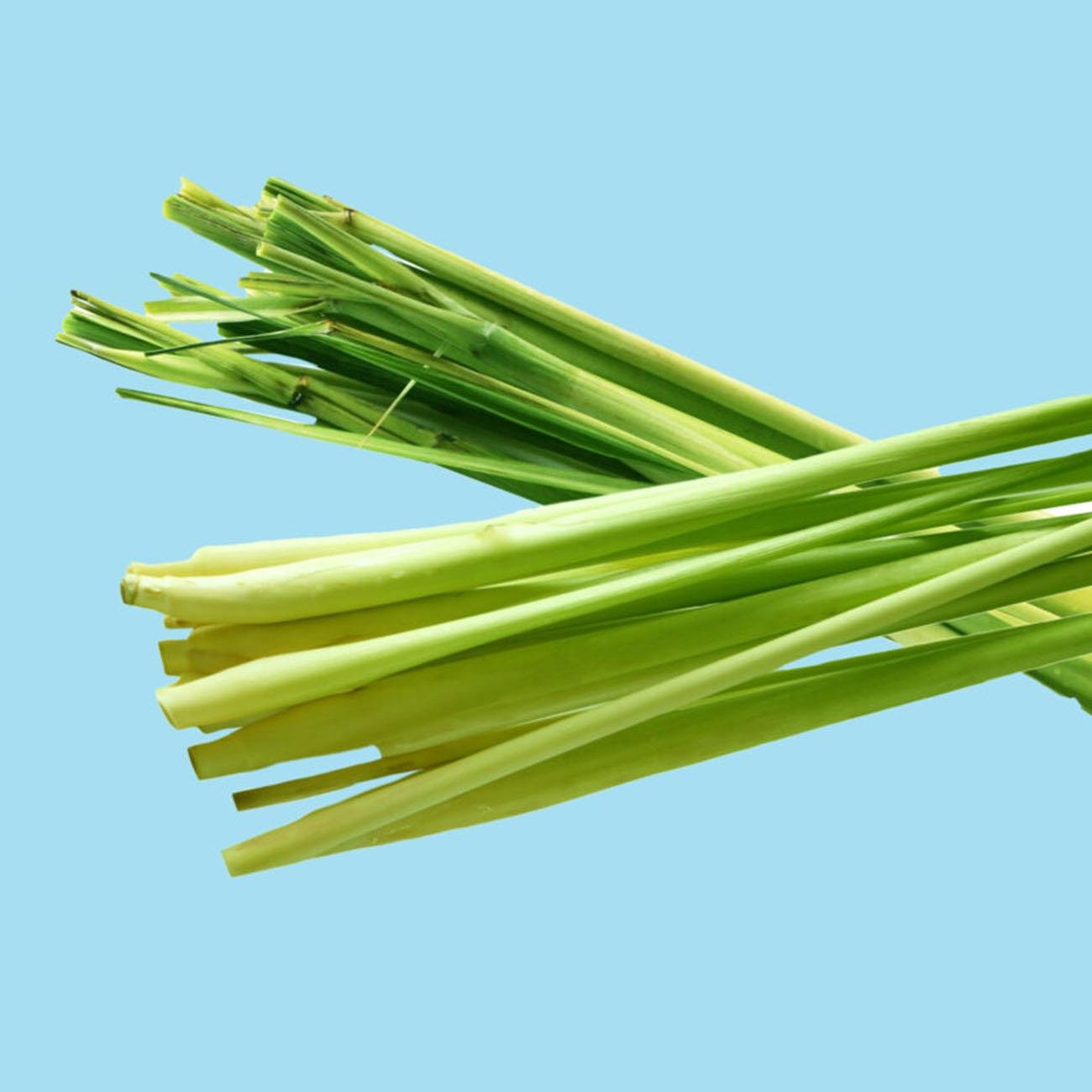 Blue Lagoon Strengthening Hair Conditioner 280ml - Organic Shop - Hair Conditioner - Eco Natural Products