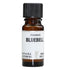 Bluebell Fragrance 10ml - Eco Natural Products - Amphora Aromatics - Fragrances