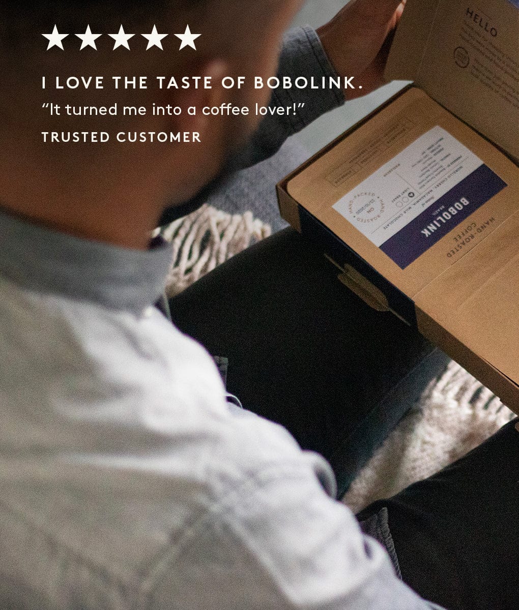 Bobolink Brazil review