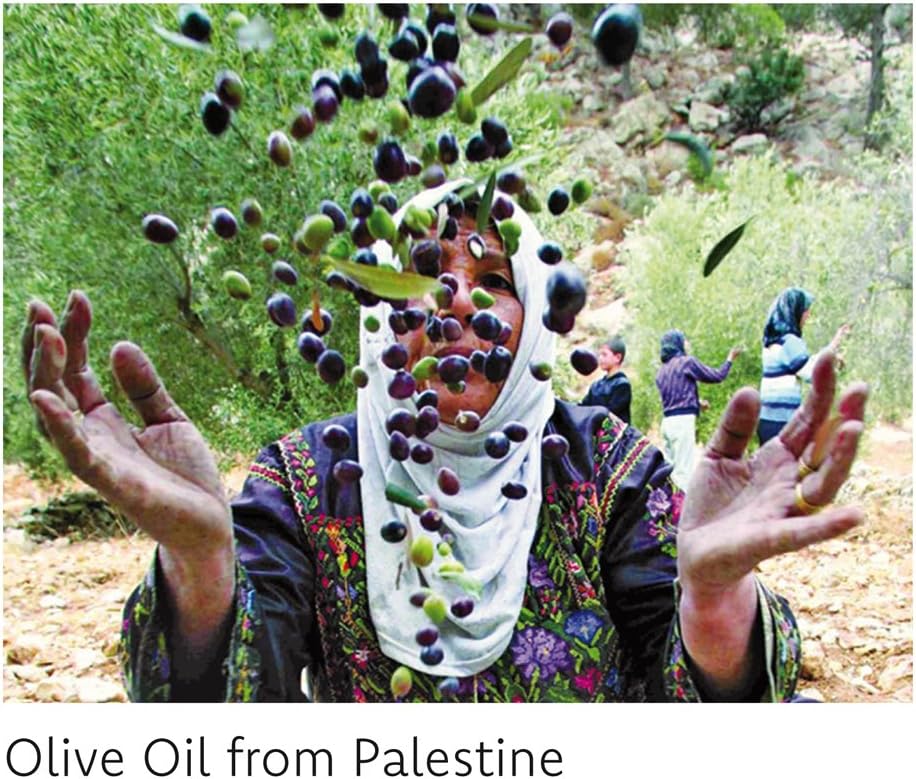 Body Lotion Coconut 250ml - Fair Squared - Body Lotion - Eco Natural Products