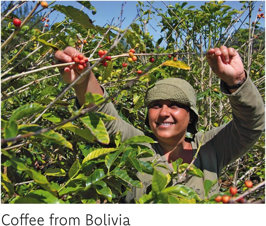 Body Lotion Coffee 250ml - Fair Squared - Body Lotion - Eco Natural Products