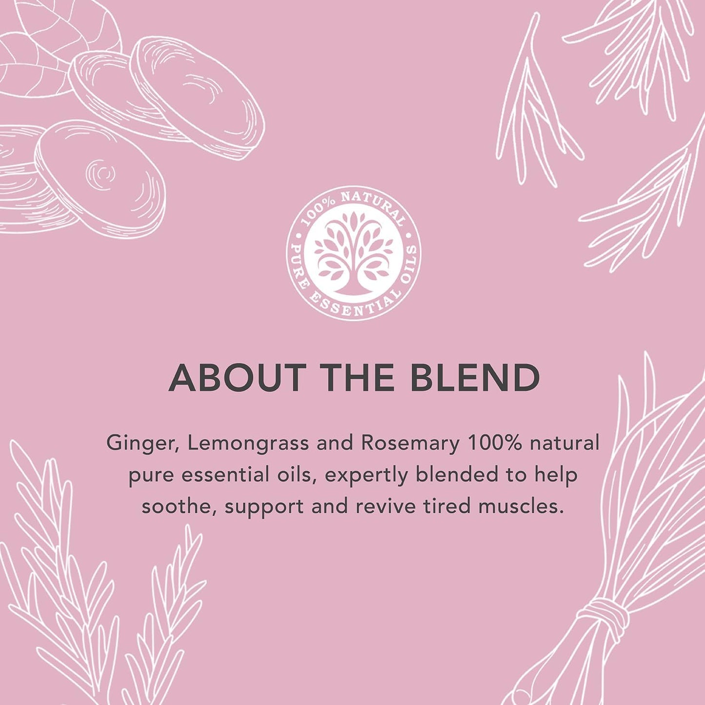 Body Massage Oil Muscle Ease 100ml - Tisserand - Massage And Body Oil - Eco Natural Products