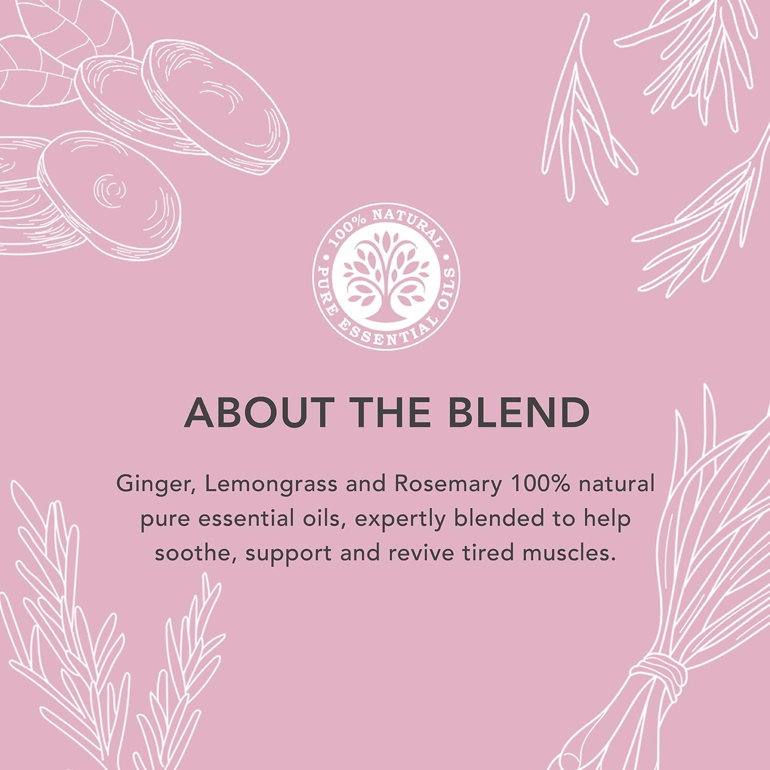 Body Massage Oil Muscle Ease 100ml - Tisserand - Massage And Body Oil - Eco Natural Products