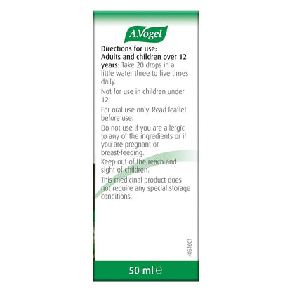 Bronchoforce Chesty Cough Ivy Complex Oral Drop 50ml - A. Vogel - Oral Drop - Eco Natural Products