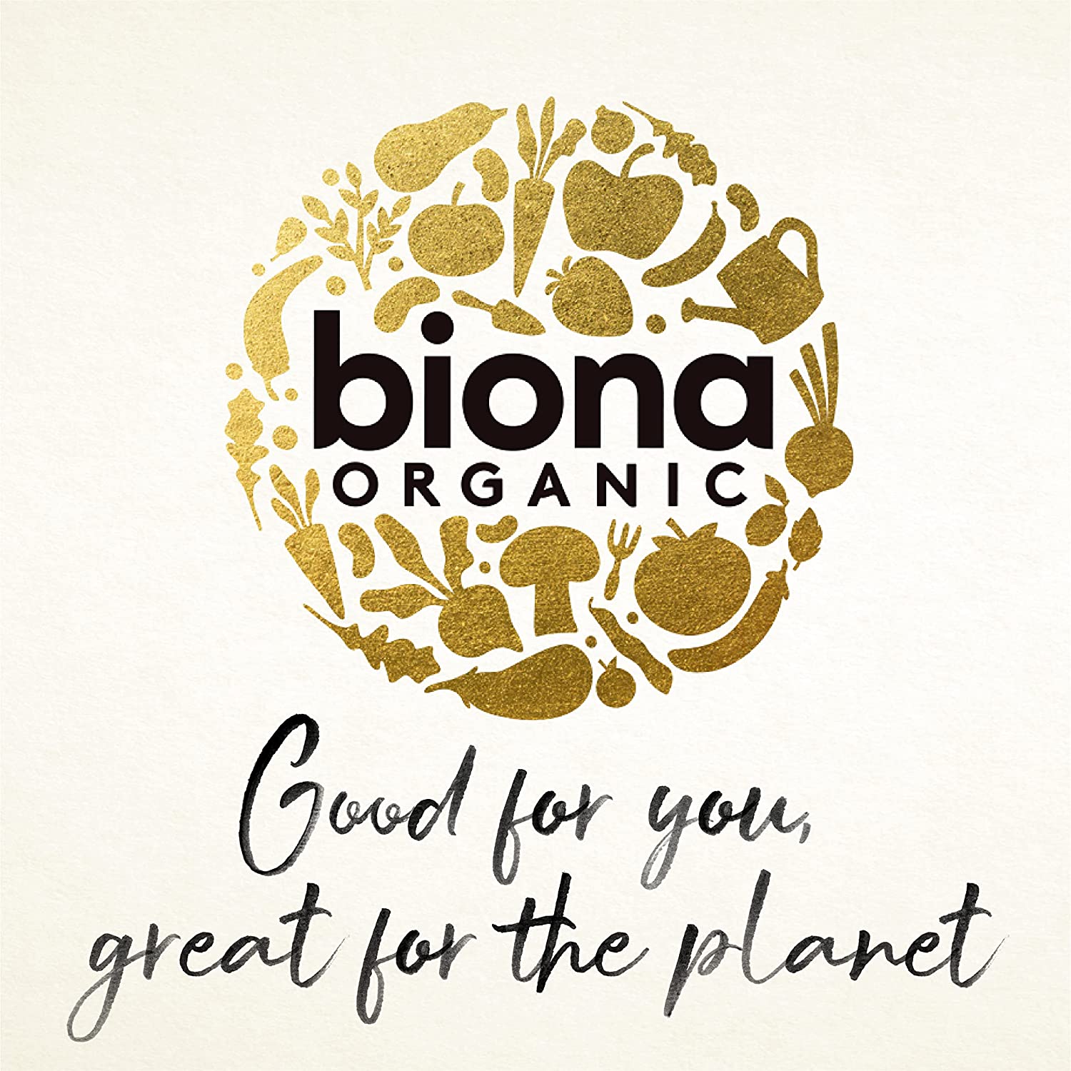 Brown Lentil Curry 400g - Biona - Canned & Prepared Beans - Eco Natural Products