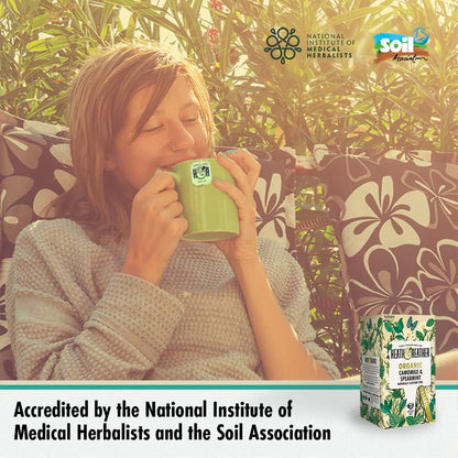 Camomile & Spearmint Infusion 20 Bags - Heath & Heather - Infusion - Eco Natural Products