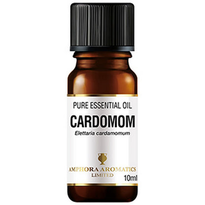 Cardomom Essential Speciality Oil 10ml - Amphora Aromatics - Essential Oil - Eco Natural Products