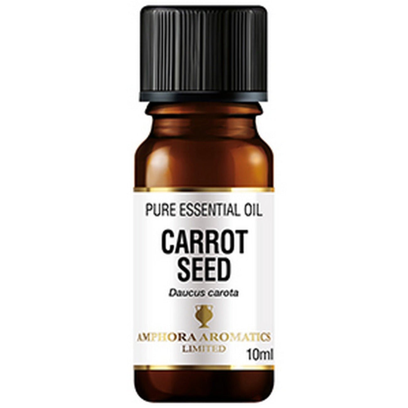 Carrot Seed Essential Speciality Oil 10ml - Eco Natural Products - Amphora Aromatics - Essential Oil