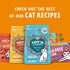 Cat Christmas Turkey and Ham Feast 85g - Eco Natural Products - Lilys Kitchen - Christmas food cat