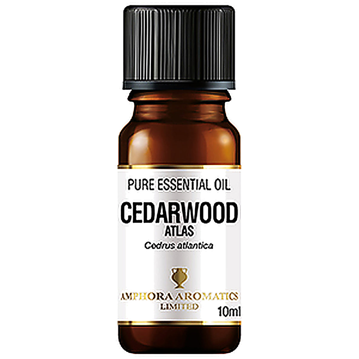 Cedarwood Atlas Essential Oil 10ml bottle - Amphora Aromatics