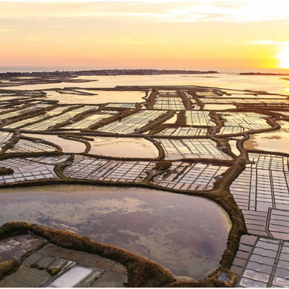 Celtic Sea Salt Fine 1000g - Le Paludier - Sea Salt - Eco Natural Products