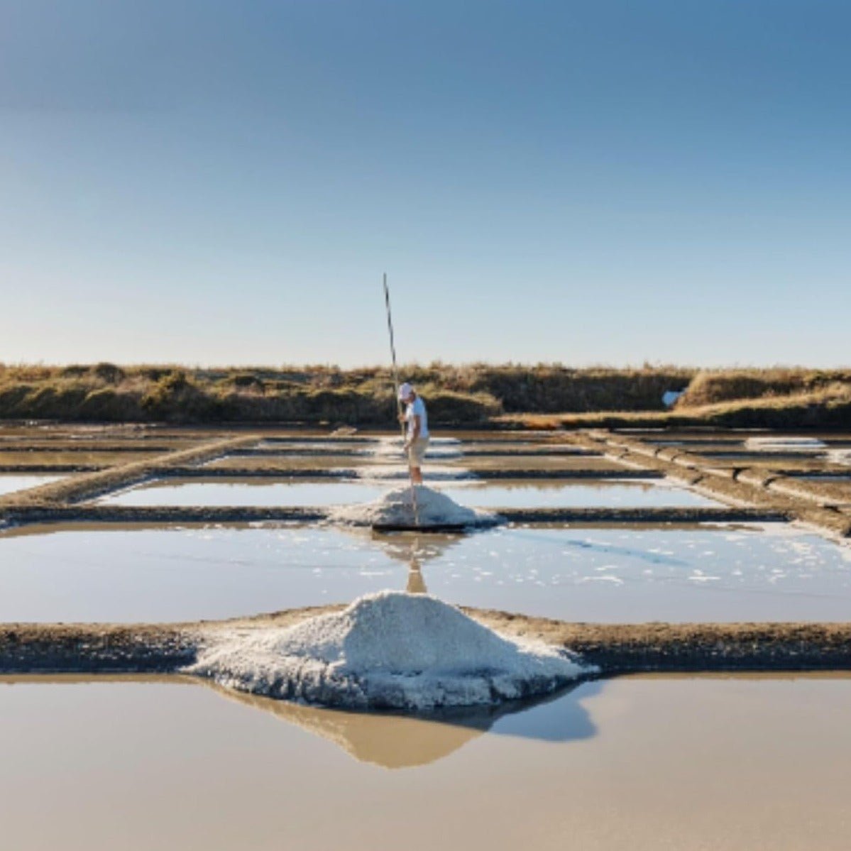 Celtic Sea Salt Fine 1000g - Le Paludier - Sea Salt - Eco Natural Products