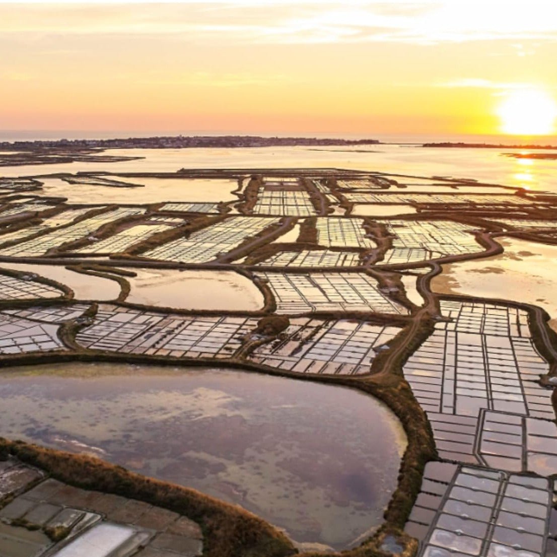 Celtic Sea Salt Shaker 125g - Le Paludier - Sea Salt - Eco Natural Products