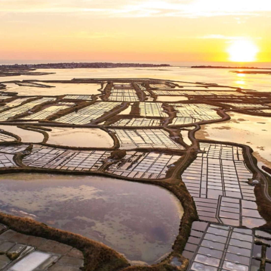 Celtic Sea Salt Shaker 250g - Le Paludier - Sea salt - Eco Natural Products