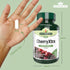 CherryXtra 500mg Freeze Dried Montmorency Cherries 60 Vcaps - Eco Natural Products - Natures Aid - Vitamins & Supplements